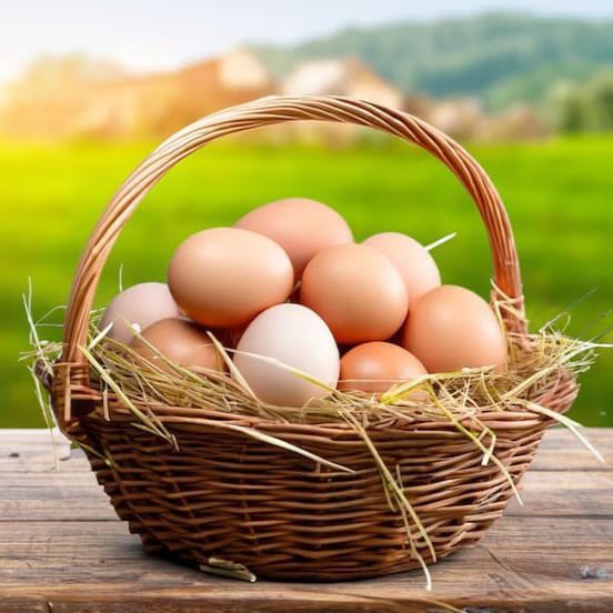 whatsapp image 2025 07 18 at 10.55.14 pm