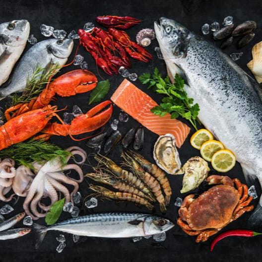 whatsapp image 2025 07 18 at 11.22.55 pm